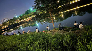 大沙河生态长廊绿道