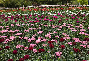 西安植物园新区第 42 张图片