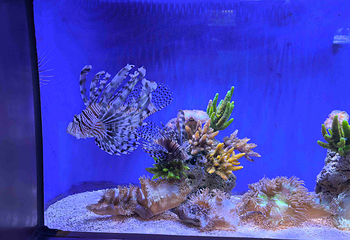 北海海底世界第 29 张图片