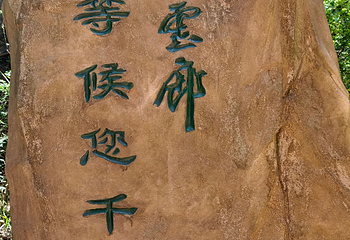 翠云廊第 19 张图片