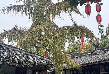 阆中古城第 73 张图片