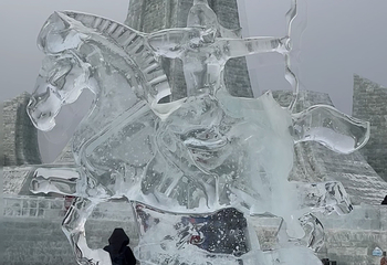 哈尔滨冰雪大世界第 1003 张图片