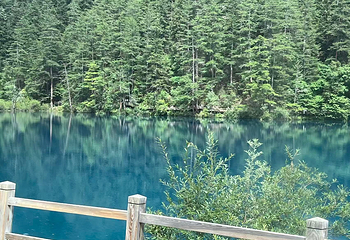九寨沟风景区第 487 张图片