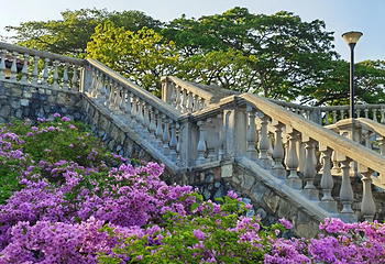 花柏山公园第 41 张图片