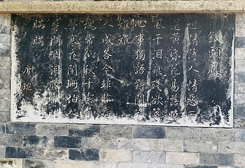 沈园第 98 张图片