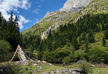 四姑娘山长坪沟景区第 17 张图片