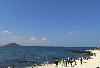 牛岛第 73 张图片