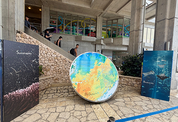 冲绳美丽海水族馆第 87 张图片