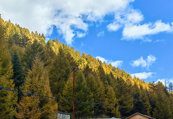 芦芽山旅游度假区第 150 张图片
