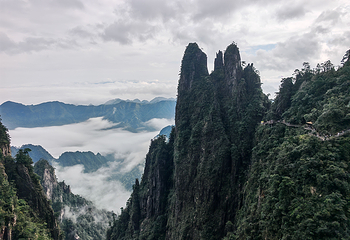 莽山五指峰景区第 66 张图片
