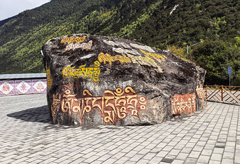 雅鲁藏布大峡谷第 156 张图片