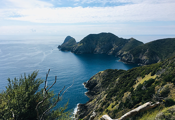 岛屿湾第 13 张图片