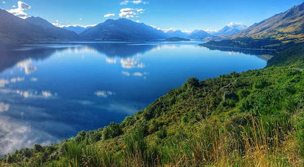 Mrs Woolly's Campground