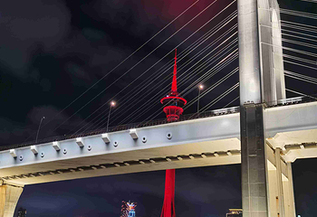 澳门环岛游第 92 张图片