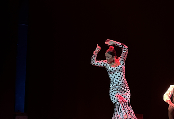 塞维利亚Teatro Flamenco Sevilla弗拉明戈剧院第 22 张图片
