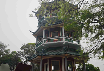 梅园第 222 张图片