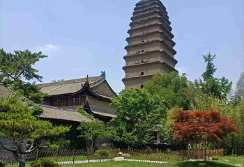 小雁塔遗址公园第 57 张图片