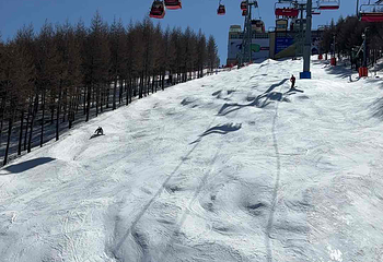 万龙滑雪场第 201 张图片