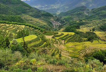 云和梯田景区第 28 张图片