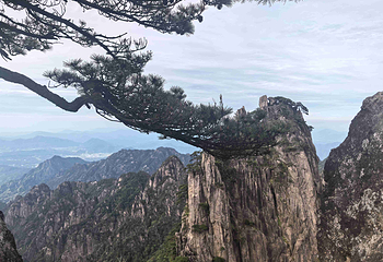 黄山风景区第 191 张图片