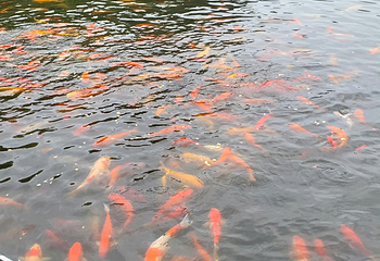 华岩寺第 61 张图片