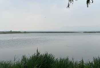 野鸭湖国家湿地公园第 61 张图片
