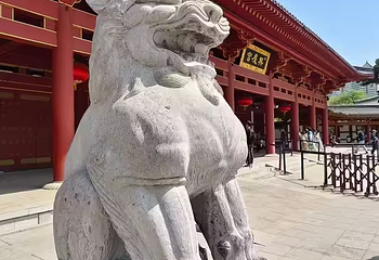 兴庆宫公园第 130 张图片