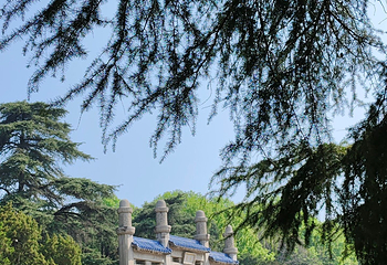 钟山风景名胜区第 46 张图片