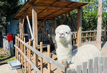 太湖西山岛第 9 张图片