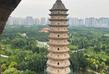 双塔公园第 19 张图片