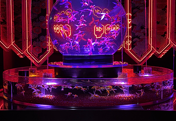 银座艺术水族馆美术馆第 16 张图片