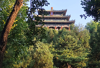 景山公园第 71 张图片
