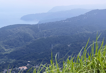 大室山第 41 张图片