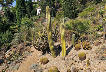 Jardin Botanico Marimurtra第 22 张图片