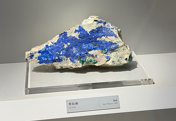 台湾自然科学博物馆第 21 张图片