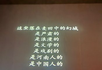 只有河南·戏剧幻城第 185 张图片