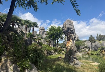 石林风景区第 64 张图片