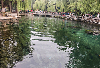 趵突泉景区第 144 张图片