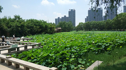 滨河公园第 1 张图片