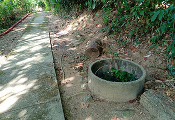 阿曼岛第 13 张图片