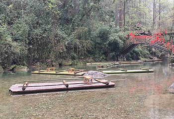青城山第 147 张图片