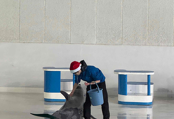 小樽水族馆第 8 张图片