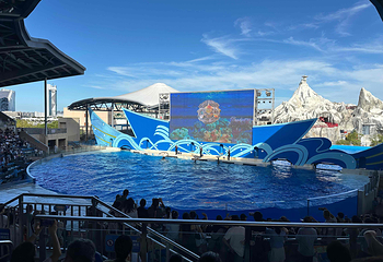 上海海昌海洋公园第 200 张图片