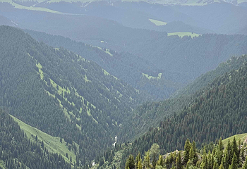 喀拉峻景区第 192 张图片