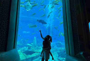 三亚亚特兰蒂斯失落的空间水族馆第 201 张图片