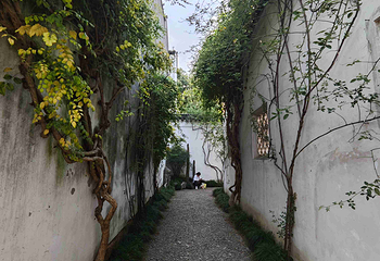 艺圃第 39 张图片