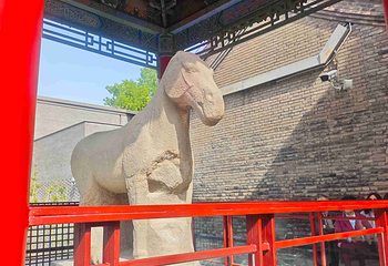 西安碑林博物馆第 159 张图片