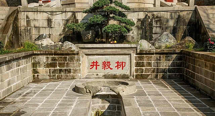 君山岛景区第 32 张图片