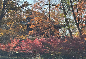 栖霞山第 86 张图片