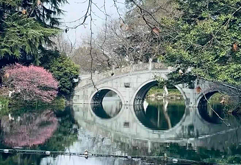 西湖风景名胜区第 346 张图片